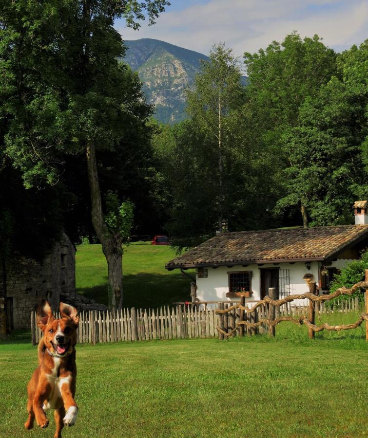 Baita Tana Da L'Ors Forgaria nel Friuli Exterior foto